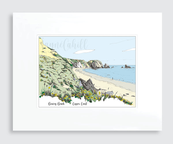 Benvoy Beach, Copper Coast