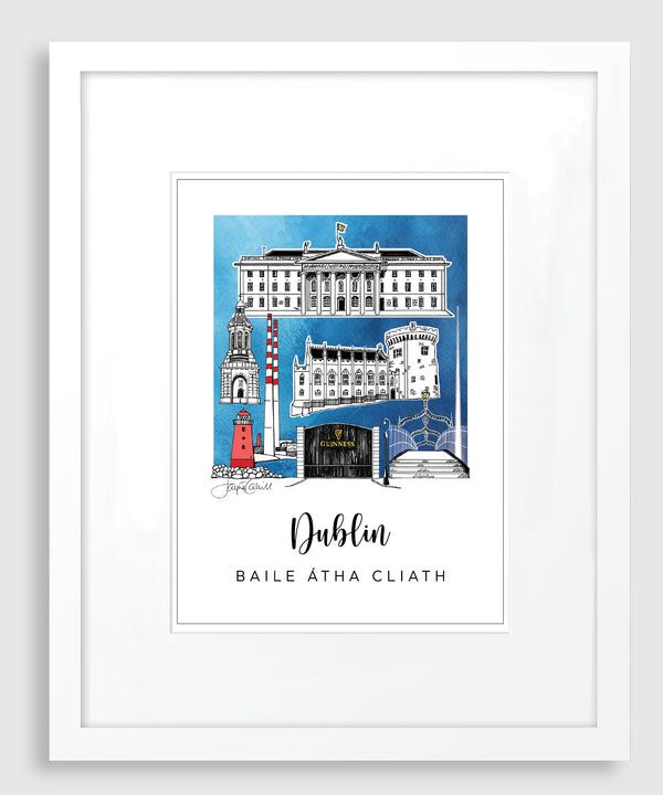 Dublin County Print